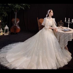 Victorian Style Prom Wedding Garden Gown
